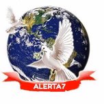 alerta7