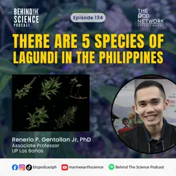 Ep134 - There are 5 species of Lagundi in the Philippines