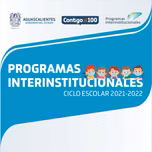 Programas Interinstitucionales IEA
