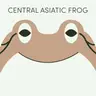 Central Asiatic Frog | Week of May 4th