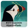 E377 Guaxinim Hipertrofiado