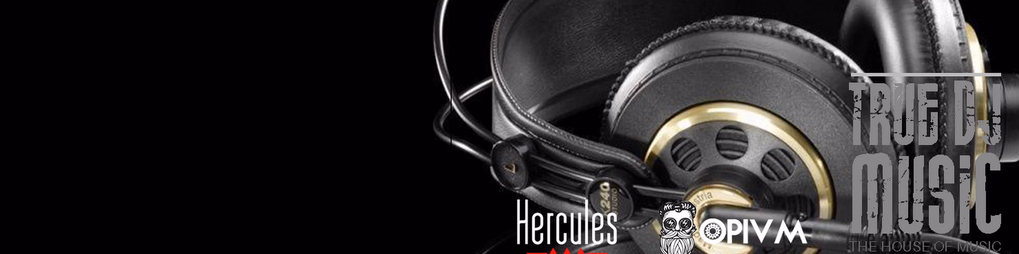 True dj radio music