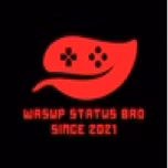 WaSupstatusbro