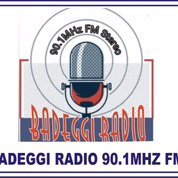 Badeggi Radio