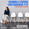 Paciencia activa