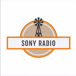 sony radio