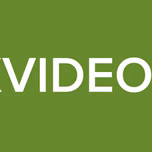XVIDEOS