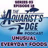 Unusual Everyday Foods You Can Safely Feed Freshwater Aquarium Fish