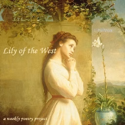 Lily Of The West by Anonymous