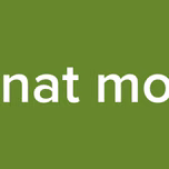 Senat mobil