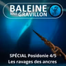 SPÉCIAL Posidonie 4/5 : Un trésor ravagé par les ancres des bateaux