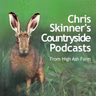 Episode 2.82 - Tinder Fields and Hobby Missiles