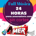 AMER RADIO TV ON LINE