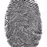 TURNO MAÑANA 24-10  (4° GRADO A)