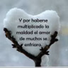 "... el amor de muchos se enfriará", Pastor Félix Bracho, Gloriosa Presencia, Coro, Venezuela