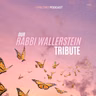 Our Rabbi Wallerstein Tribute🦋 Sharing Words of Inspiration & Lessons