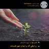 روابطی که برایمان مهم هستند