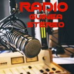 GuineaStereo