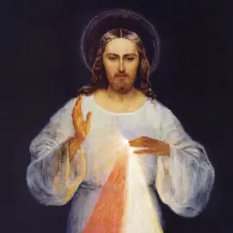 Divine Mercy Vietnamese Radio
