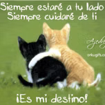 JOSI ROMANTICA