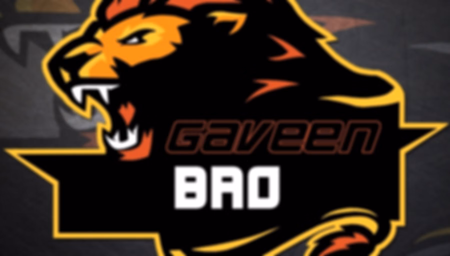 Gaveen bro fm watch