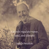 Animals regulate land, water and climate : ecologist and wildlife consultant Simon Mustoe