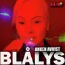 Løten-saken – Lystrup anke avvist av Høyesterett
