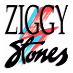 ZIGGY STONES