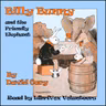 Billy Bunny and Miss Hippopotamus