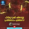 ഷിഗെല്ല പ്രതിരോധിച്ചില്ലെങ്കിൽ ജീവനു ഭീഷണിയാകാം | Shigella | Diarrhea | Hygiene | Health Podcast