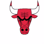 Toro Bravo