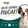 Genetik statt Bauchgefühl: Die neue Pflicht für Züchter & Käufer?
