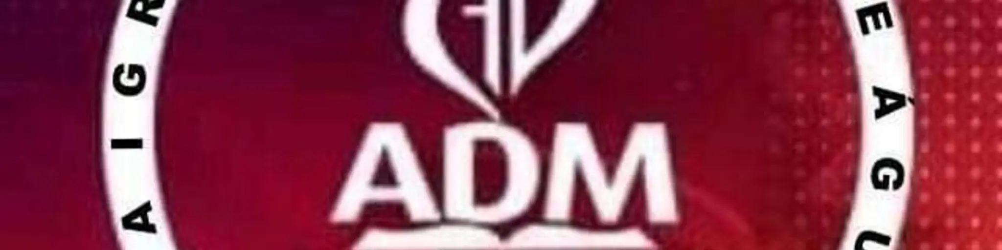 IMDRS22