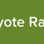 Coyote Radio