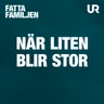Hur är jag förälder till min stora lilla 6-åring?