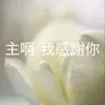 529【主啊，我感謝你】