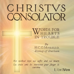 Christus Consolator: Words for Hearts in Trouble