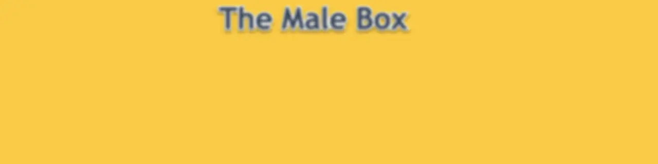 The Male Box
