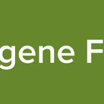 Ogene Fm