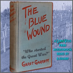 Blue Wound, The by Garet Garrett (1878 - 1954)