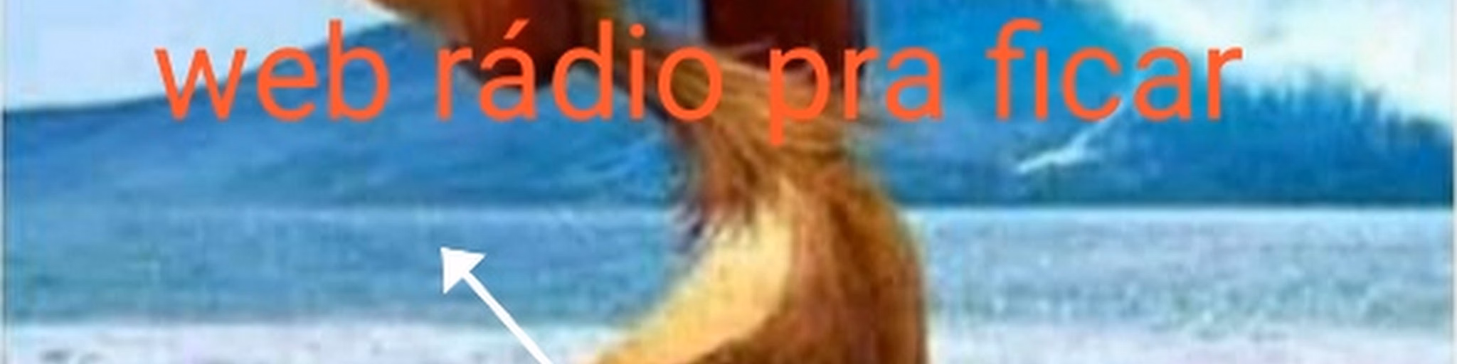 radio web pra fica