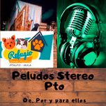 Peludos Stereo Pitalito Rock