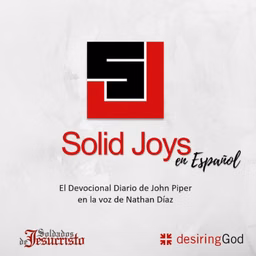 Solid Joys en Español