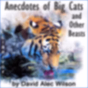 Anecdotes of Big Cats and Other Beasts by David Alec Wilson (1864 - 1933)