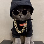 MC POZE 3