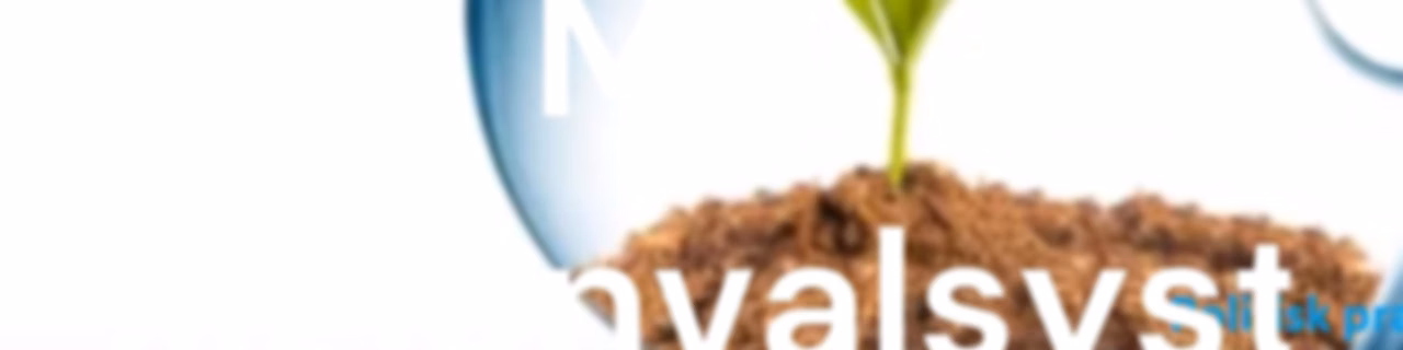 Denyasvenskarna's Podcast