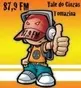 Vale do Cinzas FM