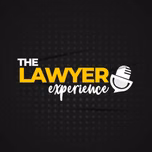 The Lawyer Experience