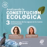Gobernanza de las aguas en la nueva Constitución