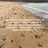 Fylg mær!